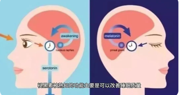 1698460012898367.png image.png